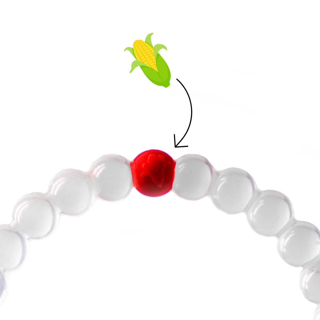 Nebraska Gameday Bracelet